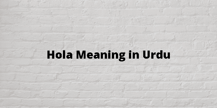 Hola Meaning In Urdu - اردو معنی