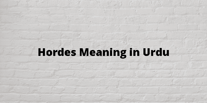 Hordes Meaning In Urdu, Giroh گروہ