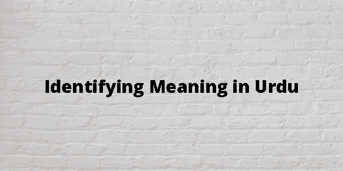 identifying-meaning-in-urdu