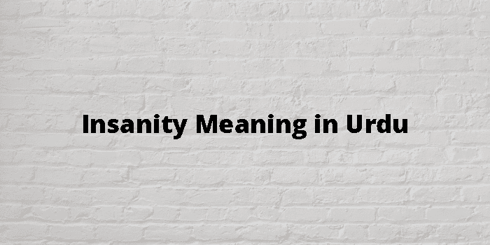 Insanity Meaning In Urdu - اردو معنی