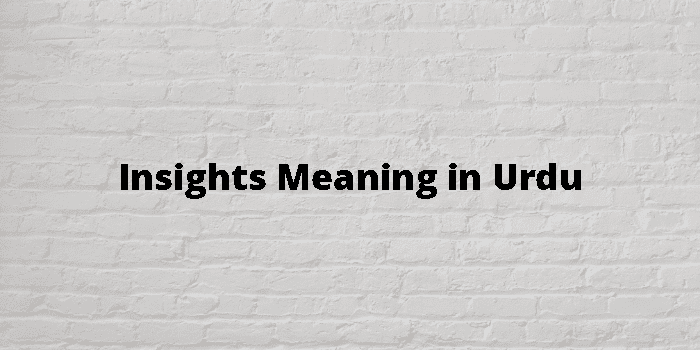 insights-meaning-in-urdu