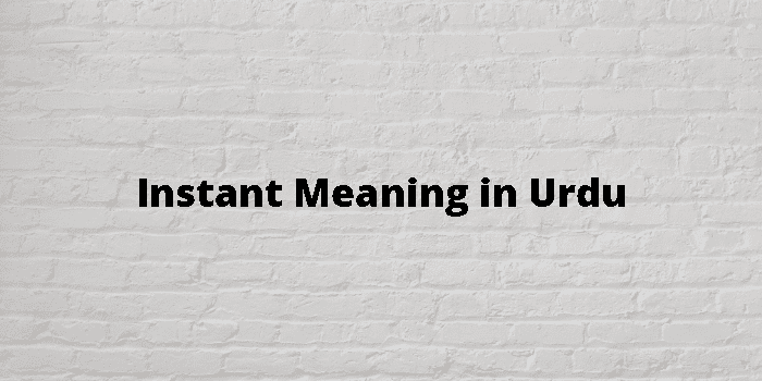 instant-meaning-in-urdu