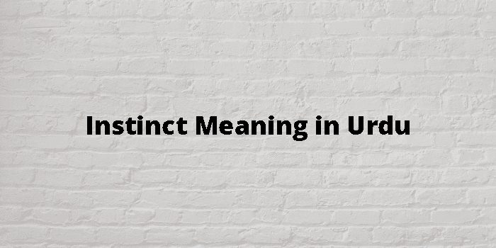 instinct-meaning-in-urdu