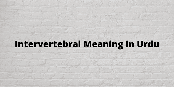 intervertebral-meaning-in-urdu