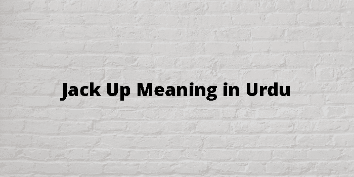 jack-up-meaning-in-urdu