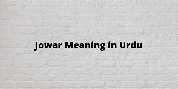 jowar-meaning-in-urdu