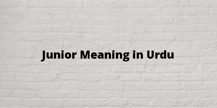 Junior Meaning in Urdu 