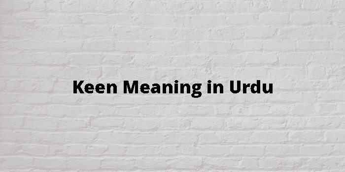 keen-meaning-in-urdu
