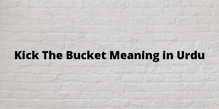 Kick The Bucket Meaning In Urdu, عوام: مرنا، ہوچکنا۔