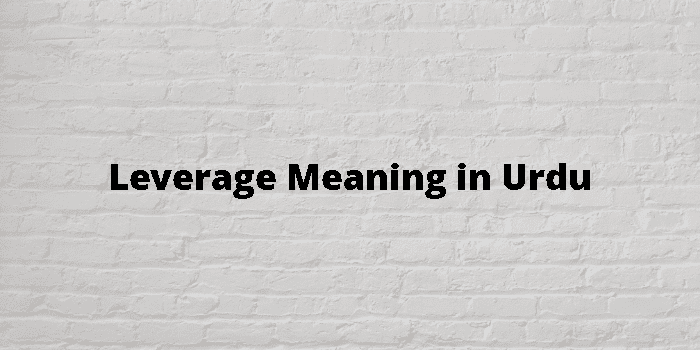 leverage-meaning-in-urdu