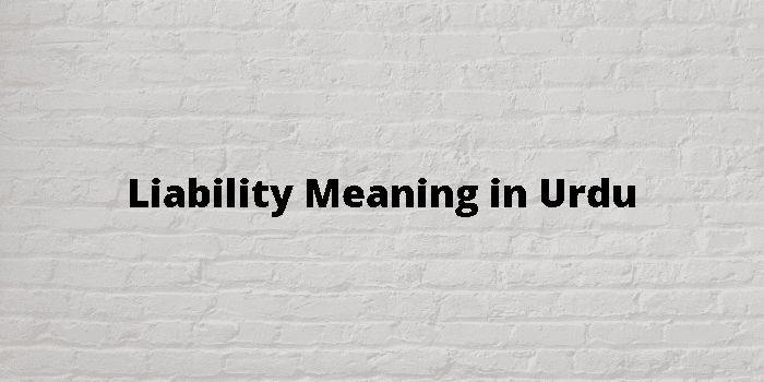 liability-meaning-in-urdu