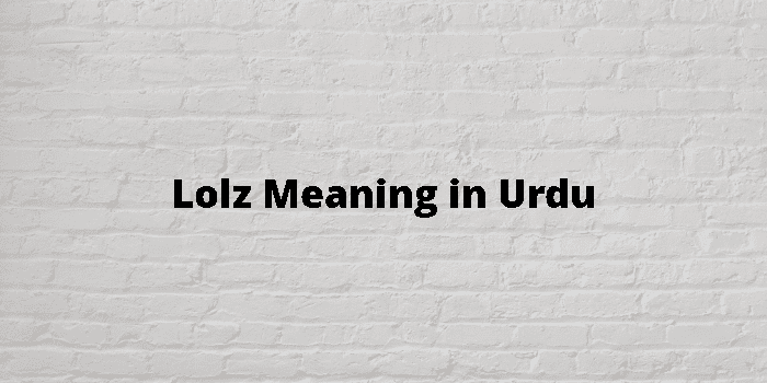 LOL Meaning in Urdu Archives - blogtoeducate