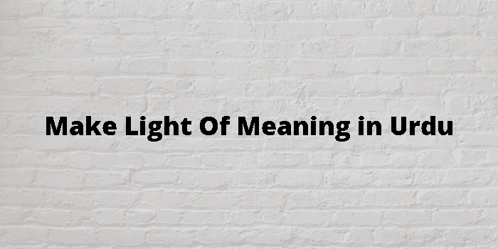 make-light-of-meaning-in-urdu