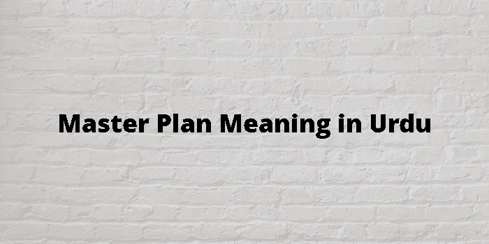 master-plan-meaning-in-urdu