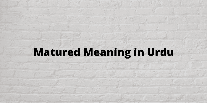 matured-meaning-in-urdu