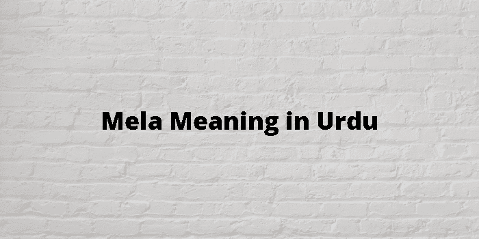 What is the meaning of Mela? - Question about Urdu