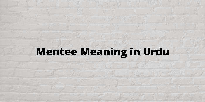 mentee-meaning-in-urdu