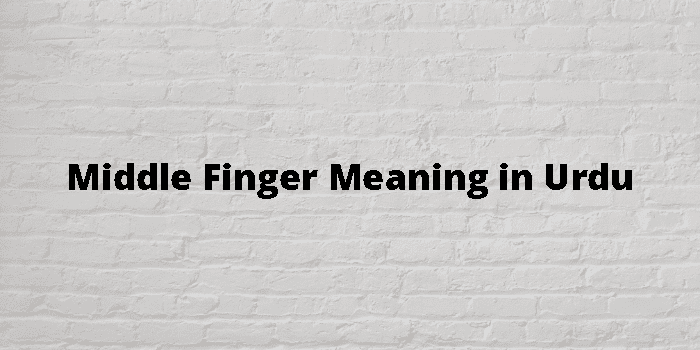 middle-finger-meaning-in-urdu