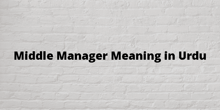 middle-manager-meaning-in-urdu