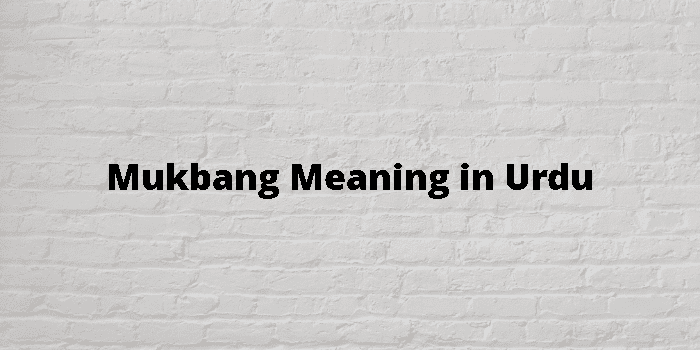 mukbang-meaning-in-urdu