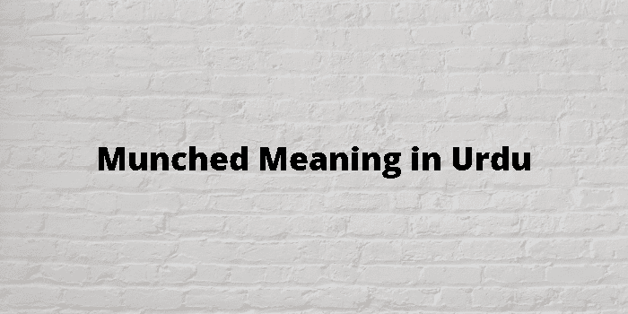 Munched meaning in Urdu - Translation of Munched 