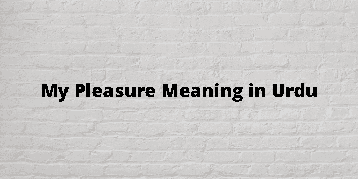 my-pleasure-meaning-in-urdu
