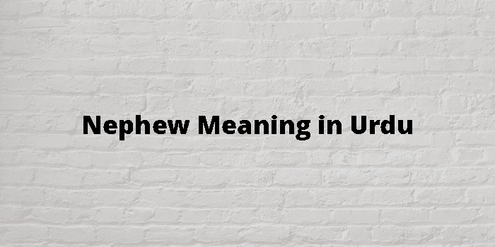 nephew-meaning-in-urdu