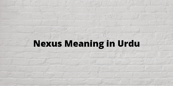 nexus-meaning-in-urdu