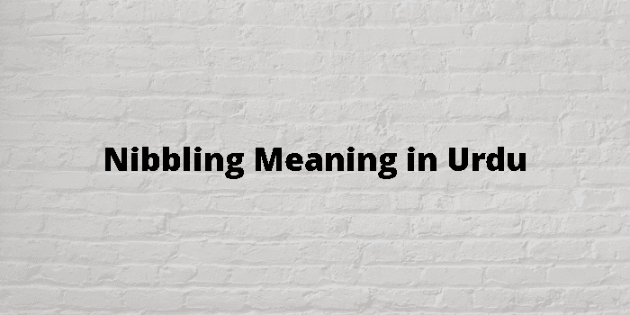 nibbling-meaning-in-urdu