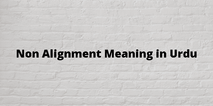 non-alignment-meaning-in-urdu