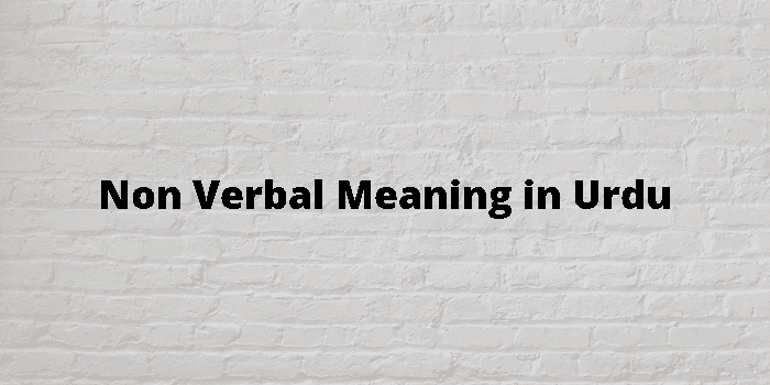 non-verbal-meaning-in-urdu