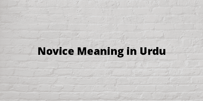 novice-meaning-in-urdu