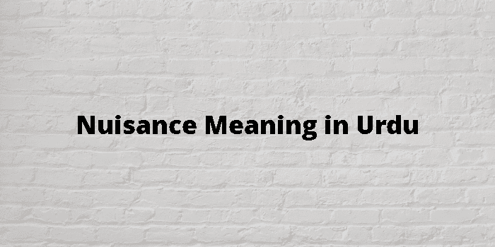 Nuisance Meaning In Urdu