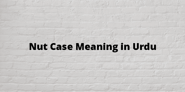 nut-case-meaning-in-urdu