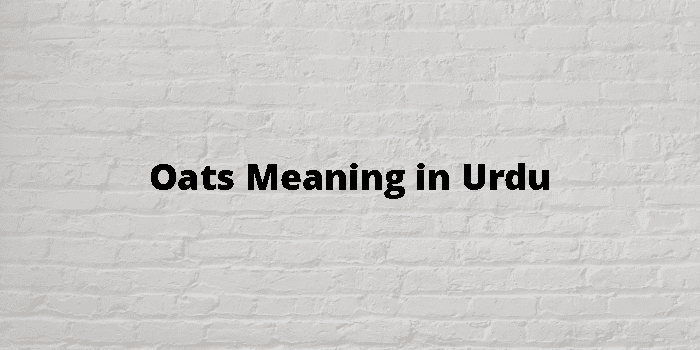 oats-meaning-in-urdu