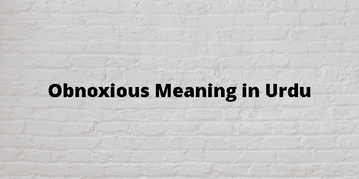 Obnoxious Meaning In Urdu