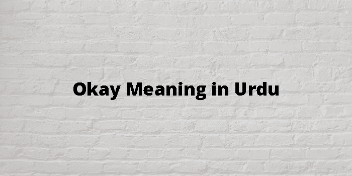 okay-meaning-in-urdu