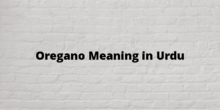 oregano-meaning-in-urdu