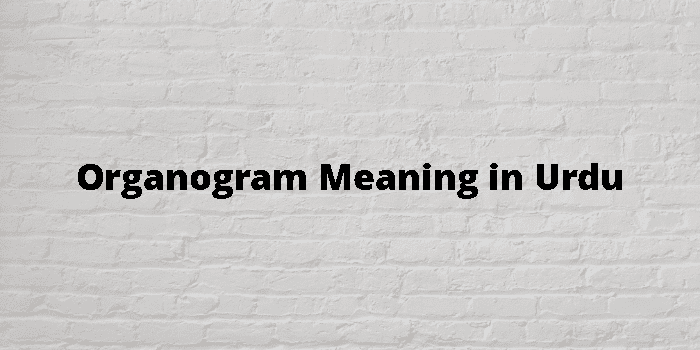organogram-meaning-in-urdu