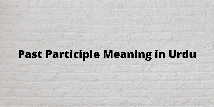 past-participle-meaning-in-urdu