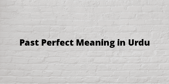 past-perfect-meaning-in-urdu