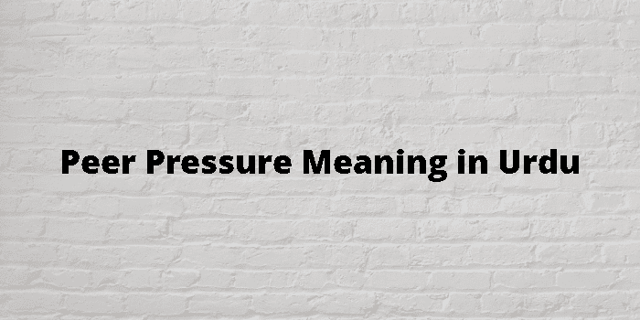 peer-pressure-meaning-in-urdu