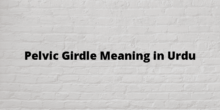 Girdle meaning in urdu - The Urdu Dictionary