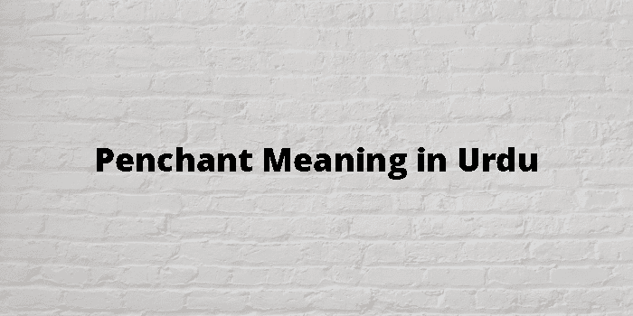 Penchant Meaning In Urdu - اردو معنی