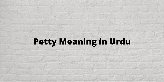Petty Meaning In Urdu - اردو معنی