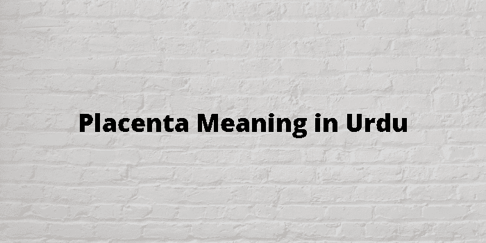 placenta-meaning-in-urdu