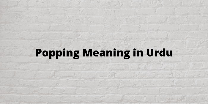 Hook up meaning on sale in urdu