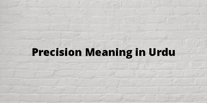 HIGH PRECISION MEANING IN URDU WITH EXAMPLE visual data 7