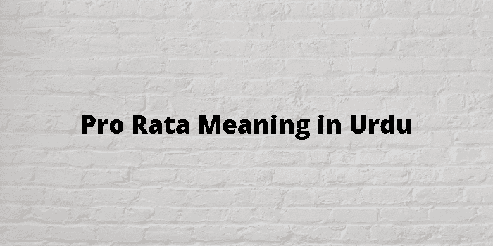 pro-rata-meaning-in-urdu