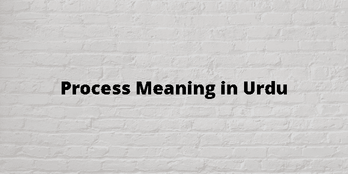 process-meaning-in-urdu